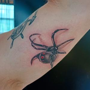 Tatouage Bras araignée