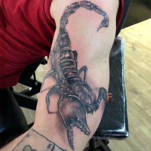 Tatouage bras scorpion 2